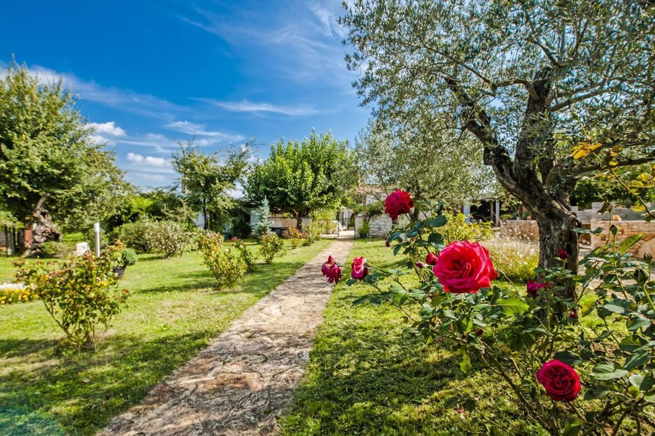 Holiday Apartment Daria 20 Rovinj Kültér fotó